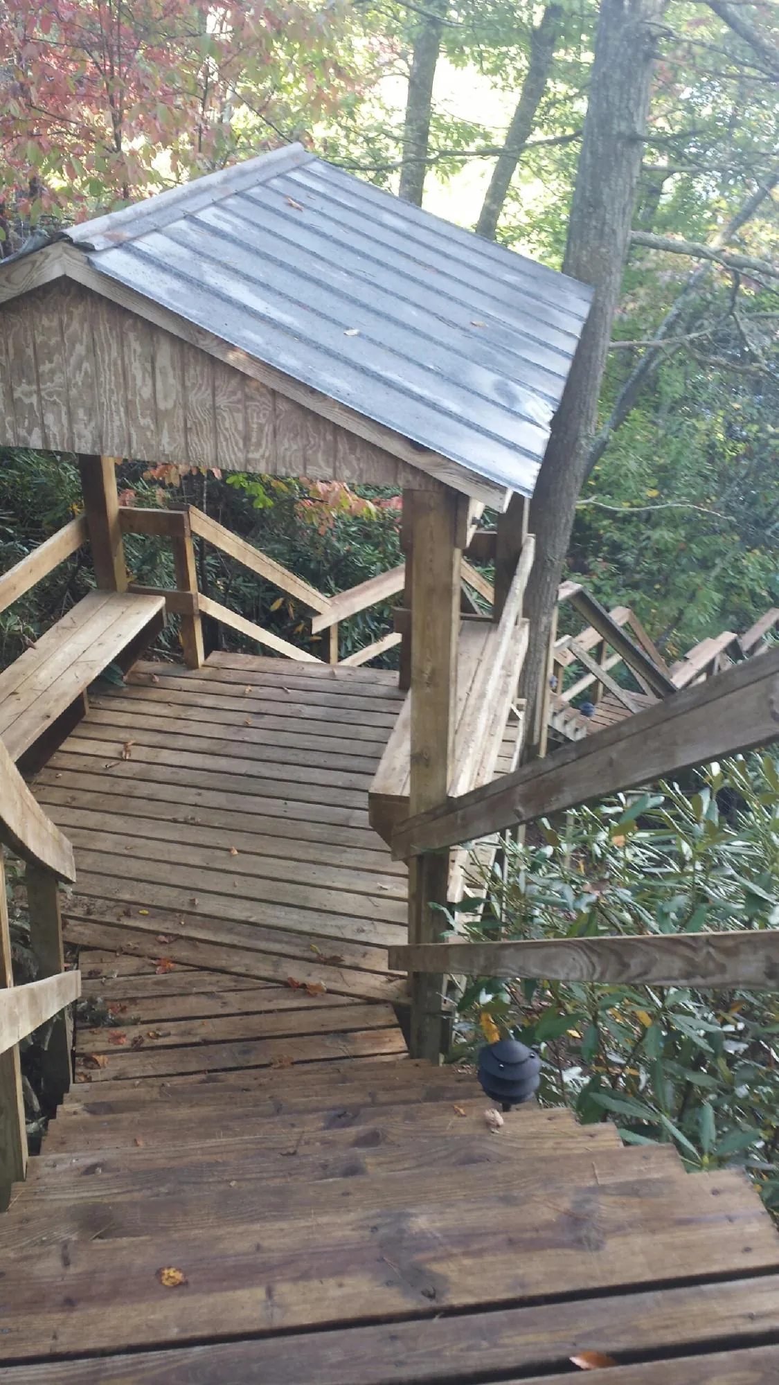 Metal roofed shelter over wooden steps on a wooded walkway — Skylight Repair & Installation work by our crew in Blackshear